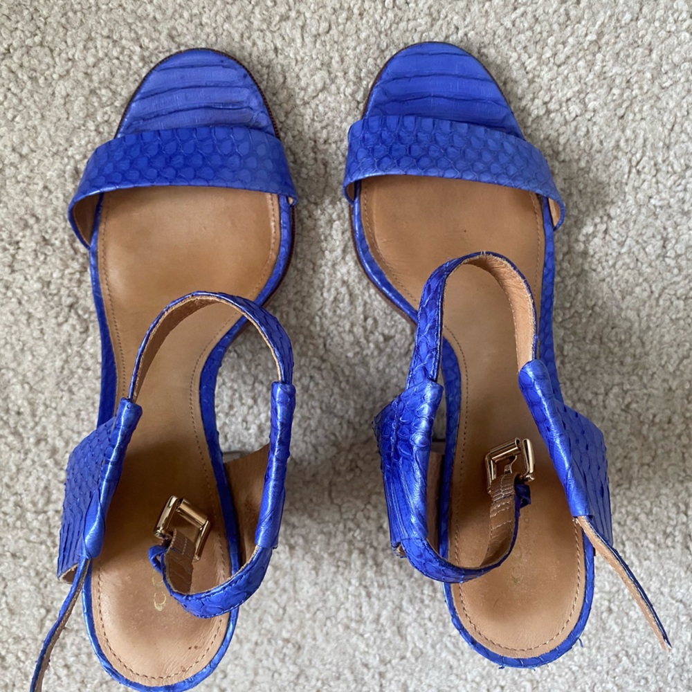 Coach Cobalt Blue Snake-Print Block Heels- Sandals